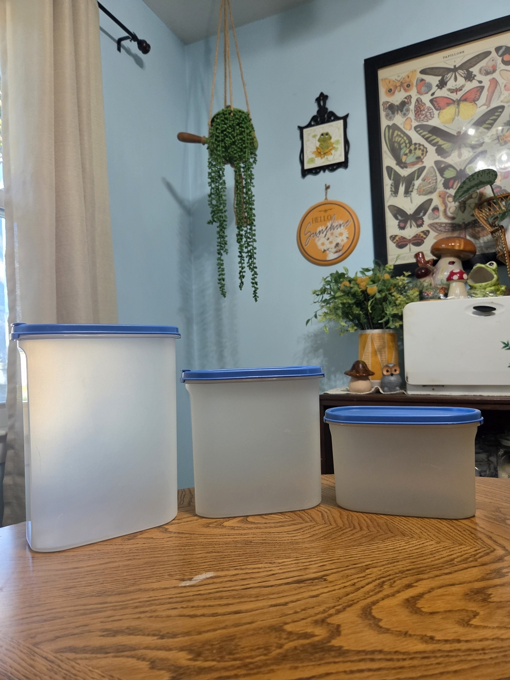3 Vintage Tupperware Oval Modular Mates Storage Canisters Clear Body Blue Lids